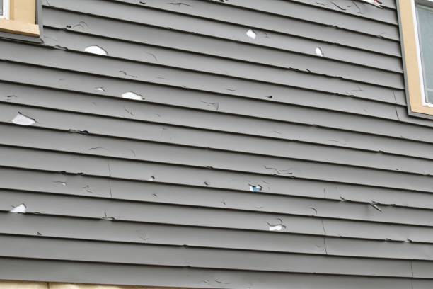 Best Composite Siding  in Cibecue, AZ